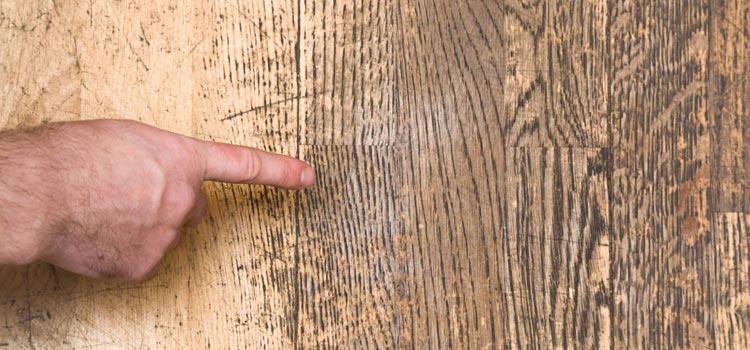 Wood Door Scratch Repair in Oakdale